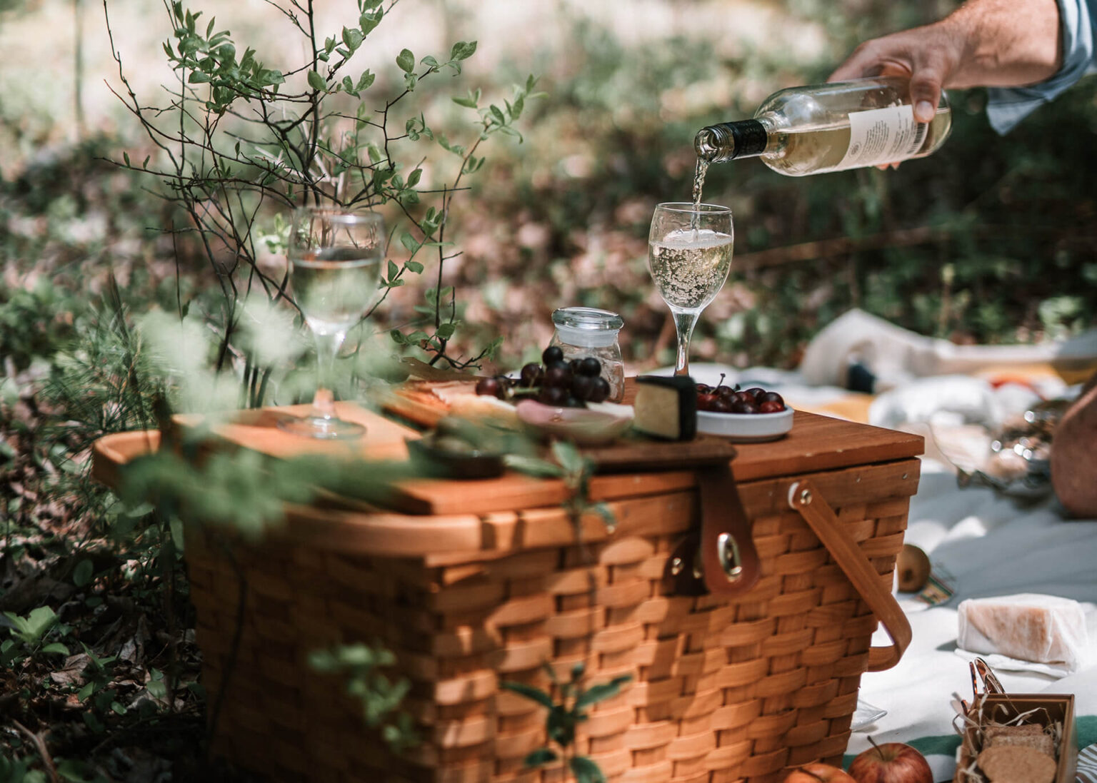 Romantic Picnic Date Ideas For Couples » GoDates