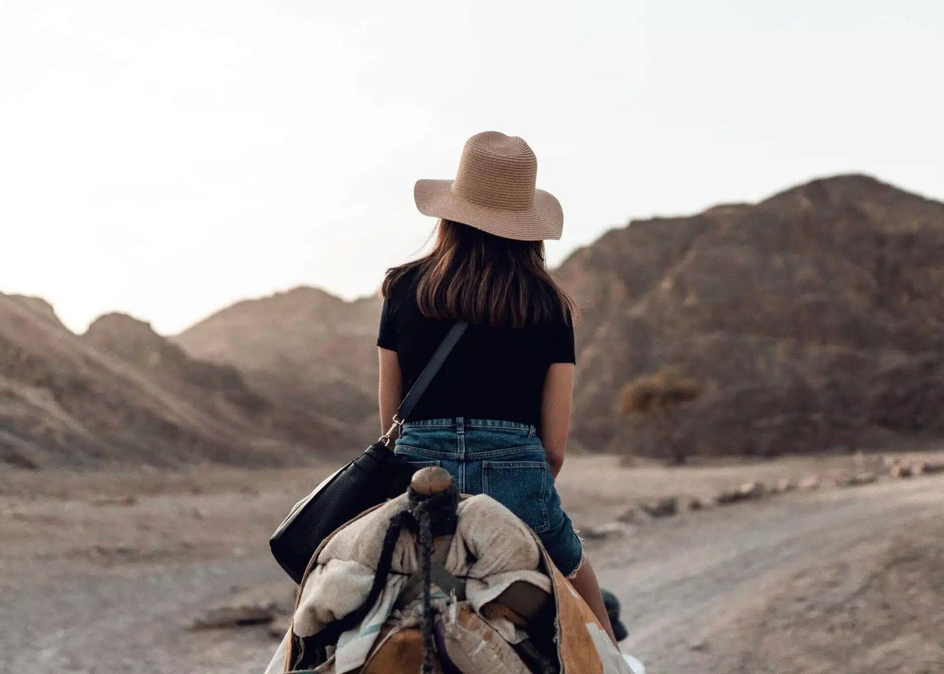 woman riding a horse