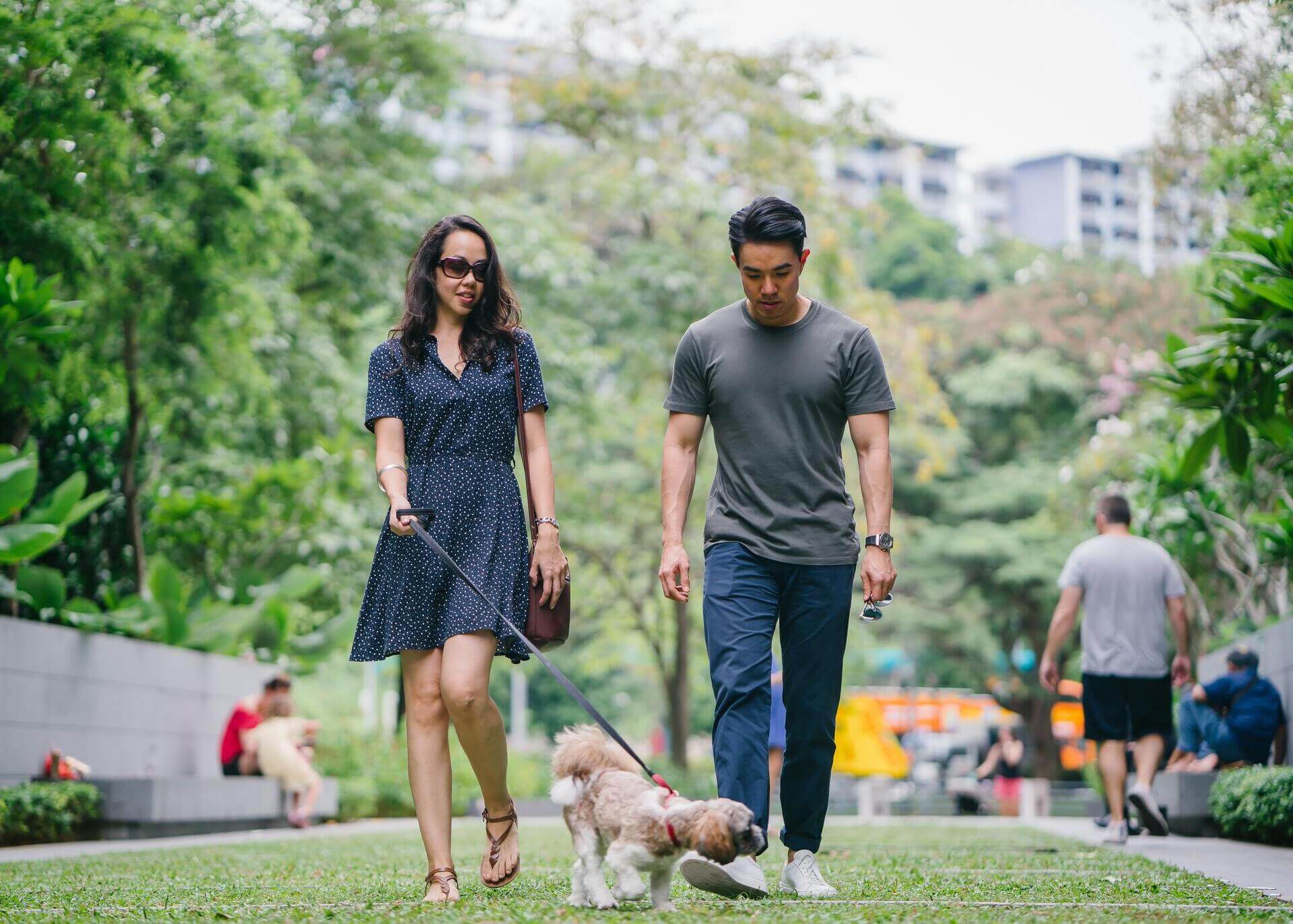 young couple walking a dog