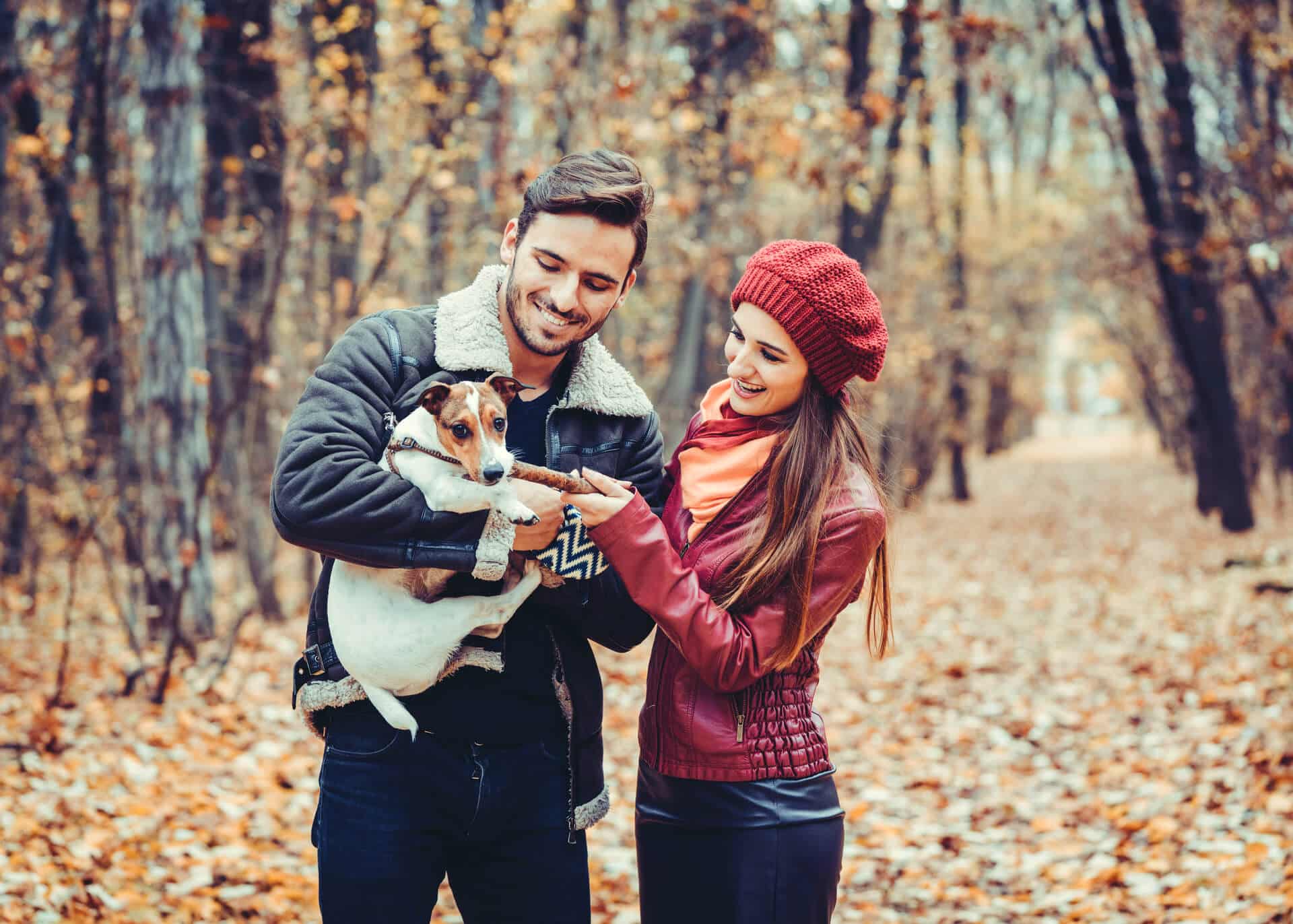 couple having walk with dog in a park