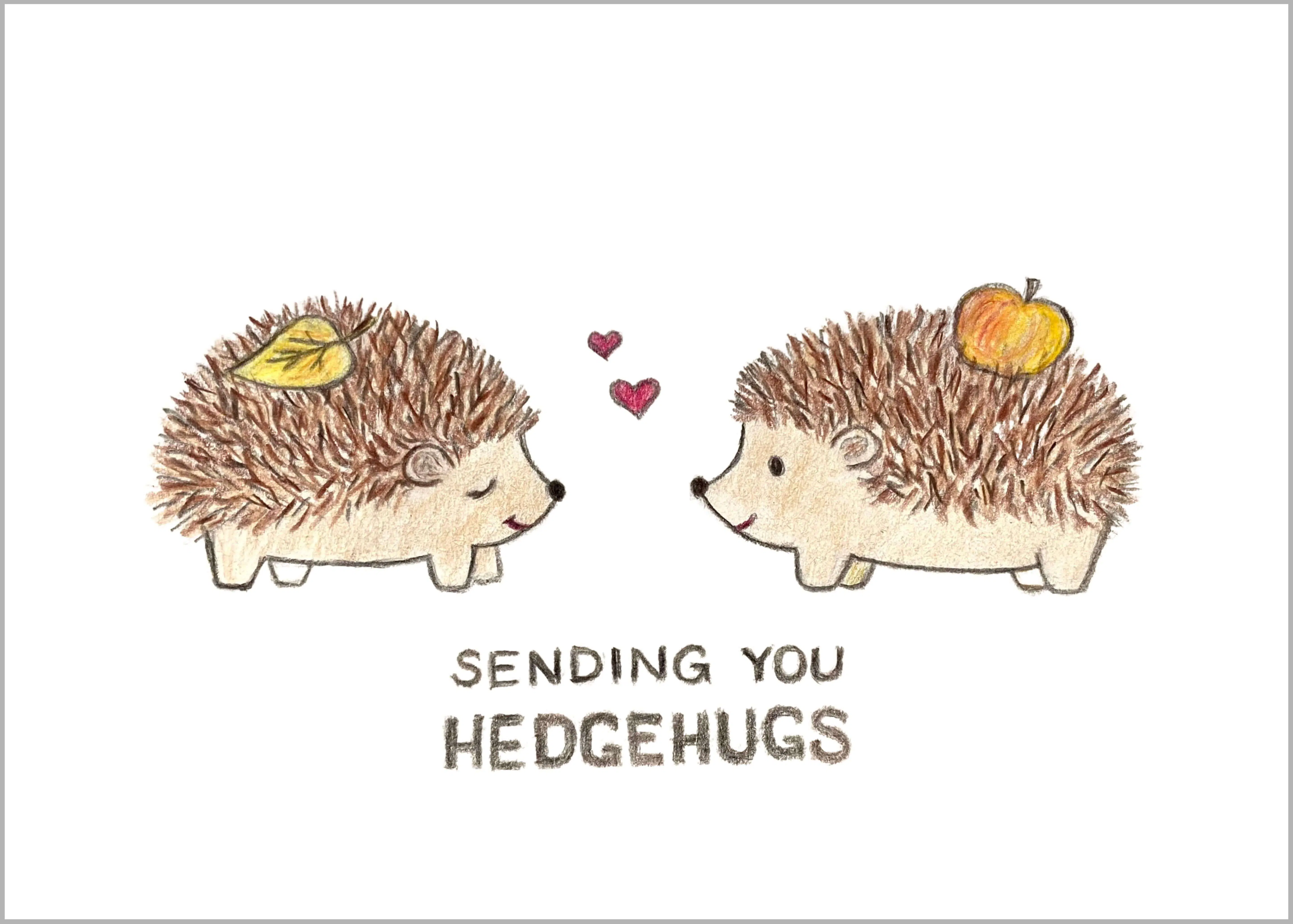 sending you hedgehugs drawing